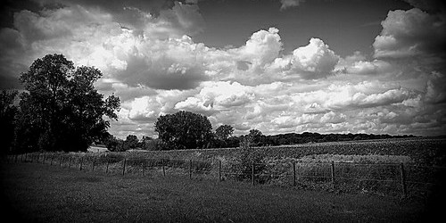 病み組のカバー写真