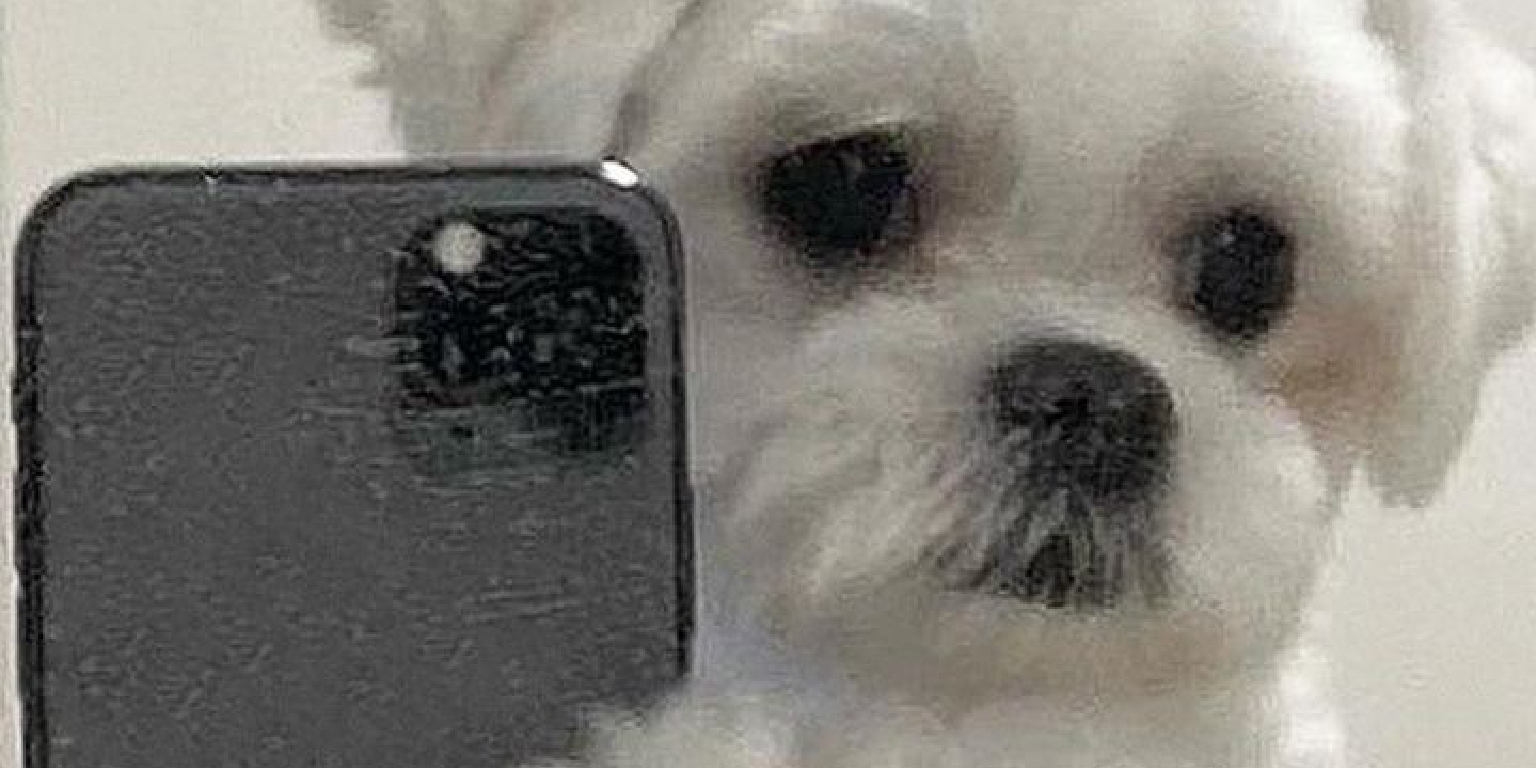 看護師1年目のカバー写真