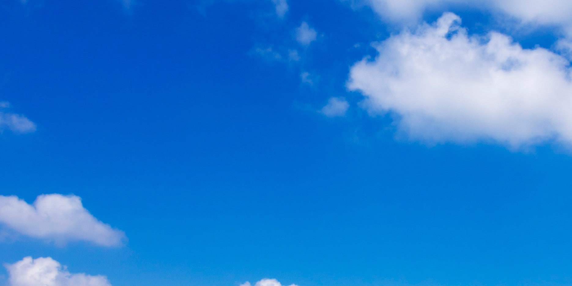 ピコの酒場(Lobiの仲間たち)のカバー写真