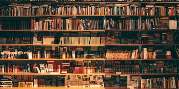 🔋Language Exchange🪫のカバー写真