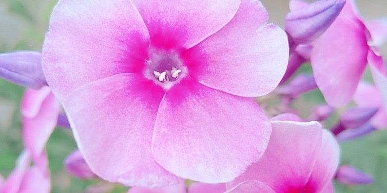 ♡なんでもサークル♡のカバー写真