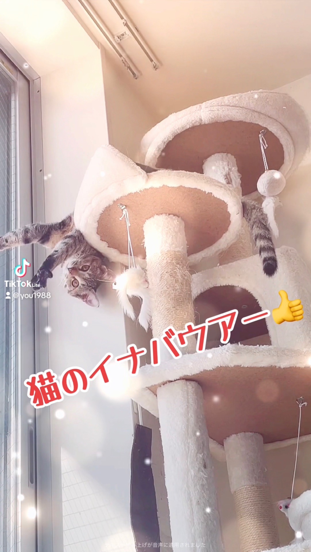 もちまる日記タイムライン | 好きでつながるバーチャルワールドYay