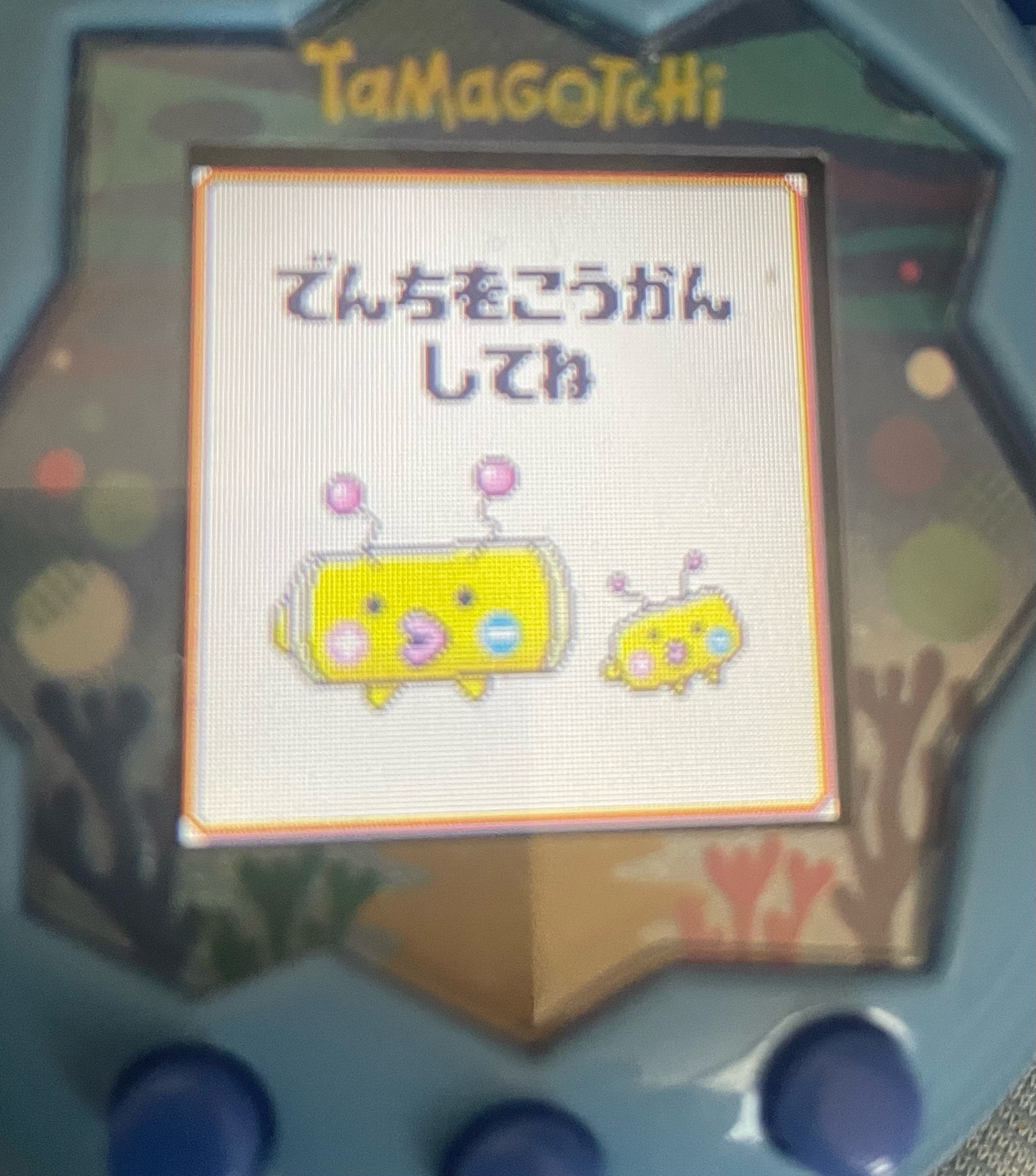 まるたまっち　お取り置き たまごっち Tamagotchi Paradise - Blue Water(早期購入特典