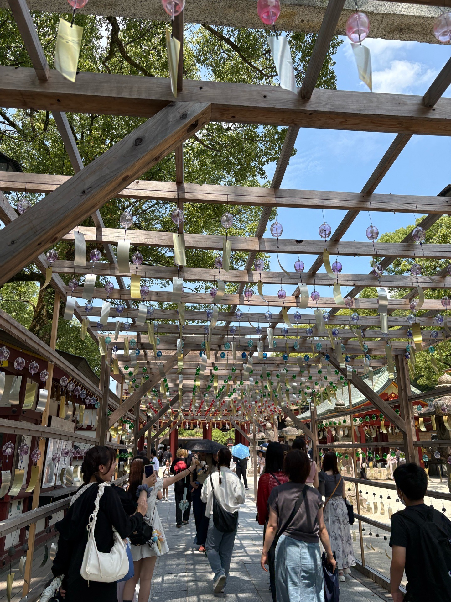 ニギニギコハクンチョスの投稿 : ❤️ | 好きでつながるバーチャル