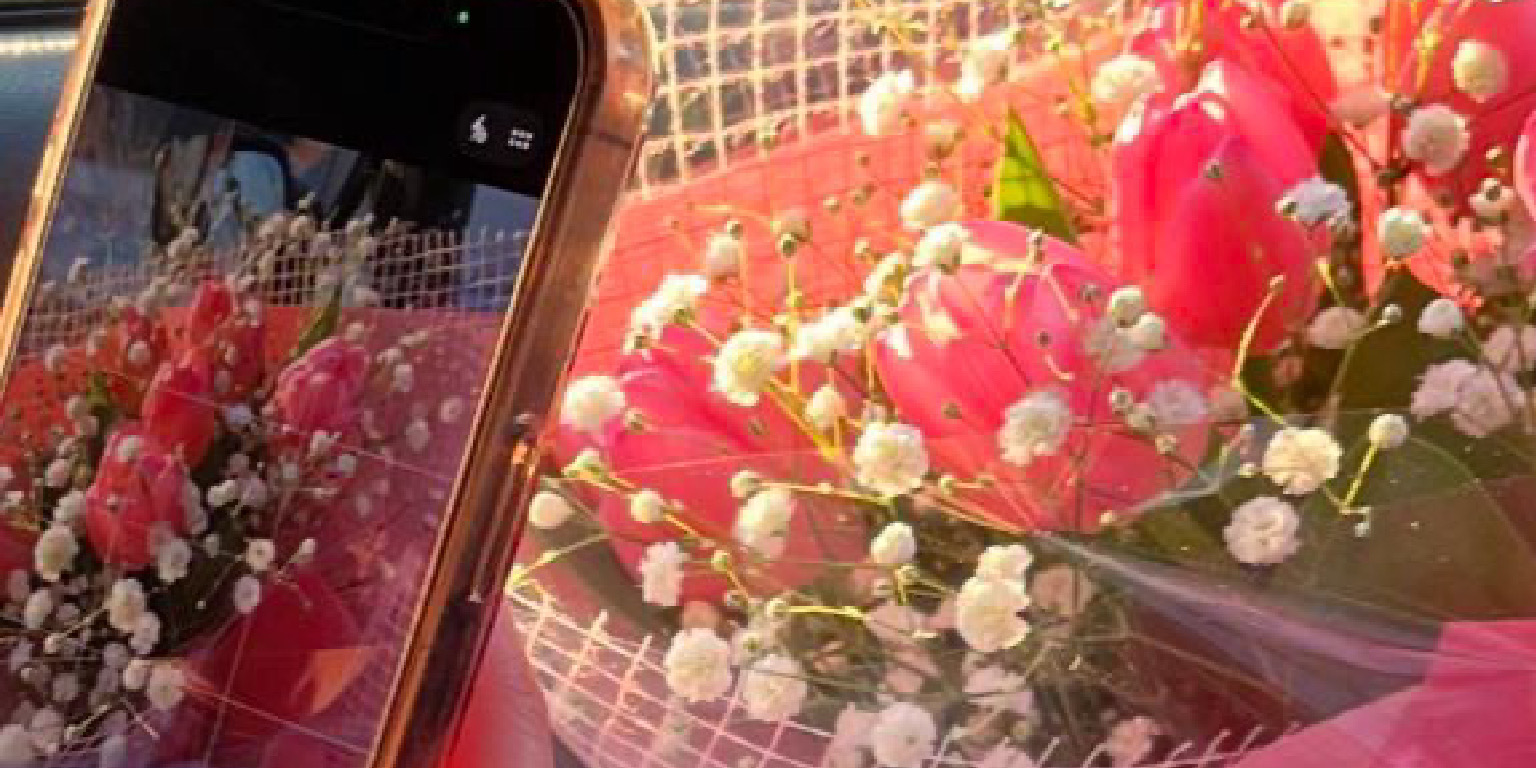 カナのカバー写真