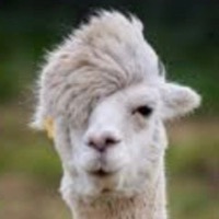 アルパカ🦙 | 好きでつながるバーチャルワールドYay!（イェイ）